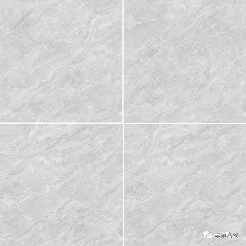 FS8830
